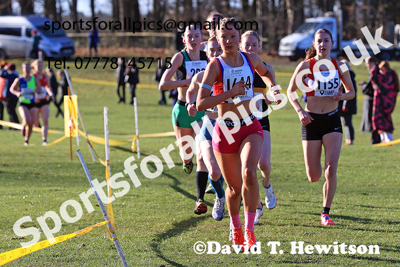 Junior Womens 2025 Northern Cross Country Champs, Tatton Park, Knutsford, Cheshire. Photo: David T. Hewitson/Sports for All Pics